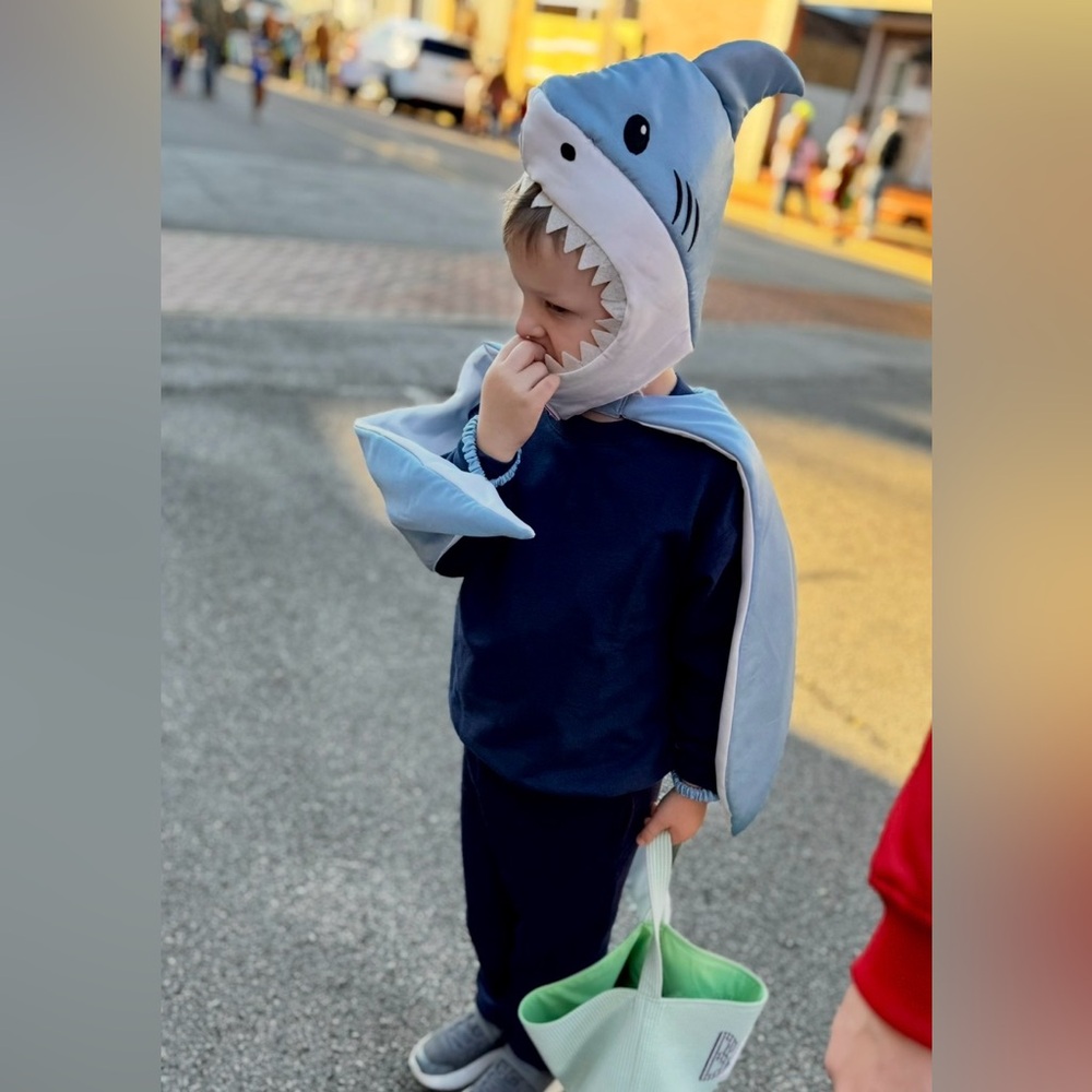 Hanna Andersson Shark Costume - Blue and Gray